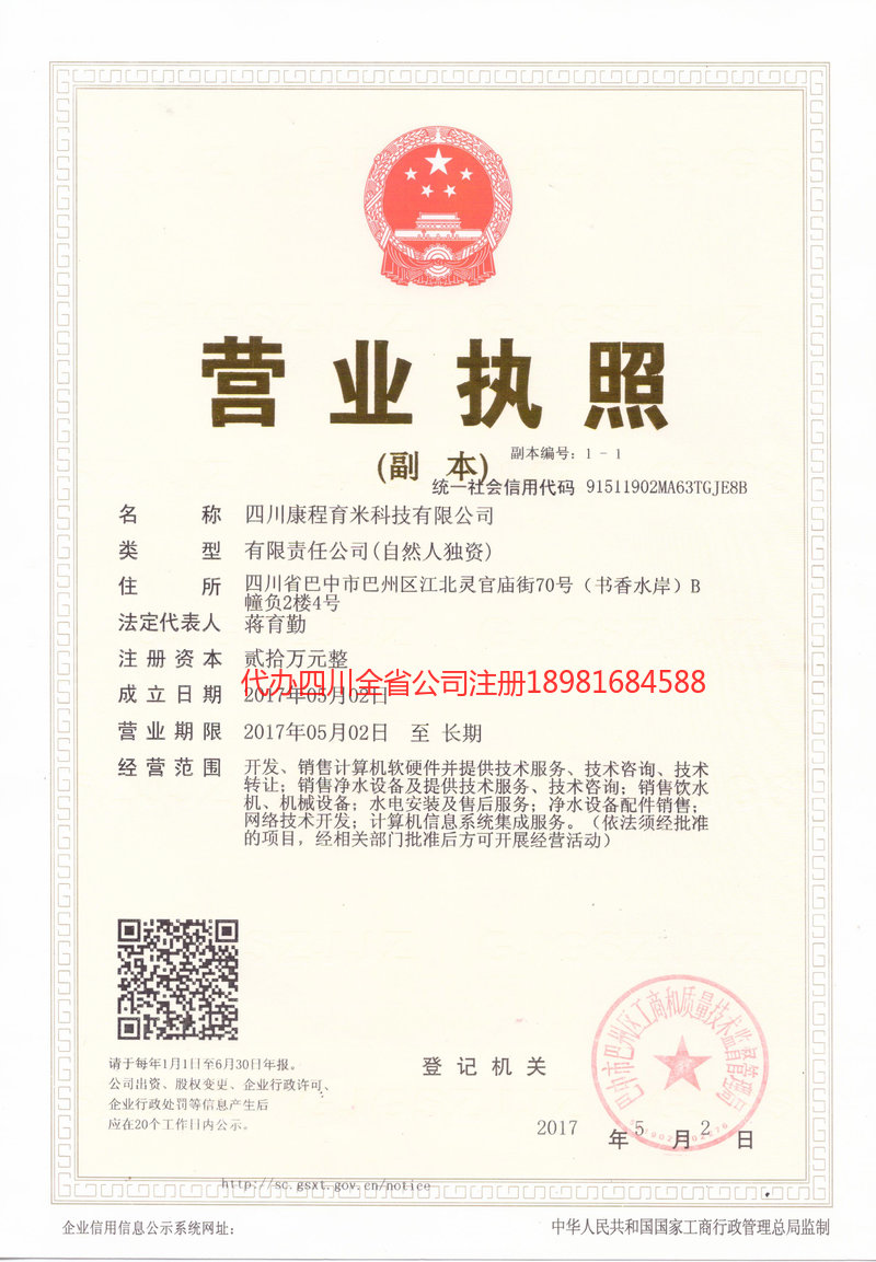 泰安泰安康程育米科技有限公司
